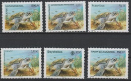 La Tortue Verte Green Turtle Schildkröte 2014 Joint Issue Faune Fauna Madagascar Seychelles France Comores MNH 6 Val. ** - Emissioni Congiunte