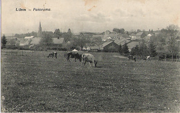 Libin - Panorama - Circulé 1920 - Edit. A. Duchêne, Libin - Libin