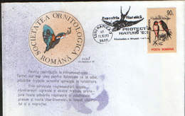 Romania - Occasional Cover 1993 - Exp.Phil."Nature Protection",Romanian Ornithological Society,bird Barn Swallow - Hirondelles