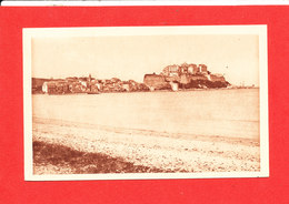 Delcampe - CALVI Cpa Vue Générale Patrie De Christophe Colomb    231 Oeuvre Pupilles - Calvi