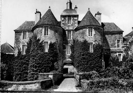 Delcampe - TREIGNY     Chateau De  RATILLY   EDIT   COMBIER - Treigny