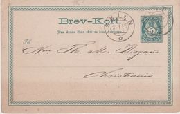 Norway-1885 5 Ore Deep Green PS Postcard N24 Skein Cover To Christiania - Briefe U. Dokumente