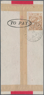China - Lokalausgaben / Local Post: Chinkiang, Dues, 1895, 3rd Issue, 2 C. Brown Tied Oval "TO PAY" - Otros & Sin Clasificación