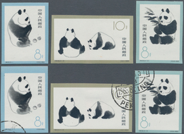 China - Volksrepublik: 1963, Giant Pandas (S59, S59B), Four Sets Of 3, Containing MNH Sets Of The Im - Sonstige & Ohne Zuordnung