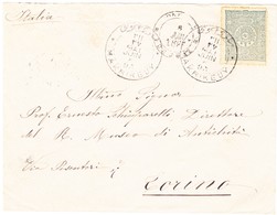 1895 Brief Aus Makrikeuy An Museumsdirektor In Turin - Brieven En Documenten