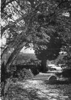 21 - DIJON : Jardin D'Arquebuse - CPSM Dentelée Noir Et Blanc Grand Format 1950 - Côte D'Or - Dijon