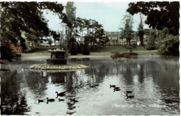 Bergen  Op Zoom  Volkspark - Bergen Op Zoom