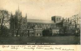 CAMBS - PETERBOROUGH - CATHEDRAL & BISHOP'S PALACE  Ca61 - Huntingdonshire