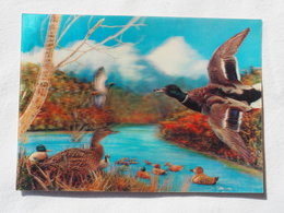 3d 3 D Lenticular Stereo Postcard Ducks Toppan Japan    A 191 - Stereoscopische Kaarten