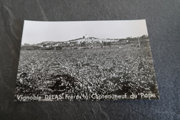 CPSM - Vignoble DELAS Frères à CHATEAUNEUF Du PAPE (84) - Tournon Sur Rhône - Chateauneuf Du Pape