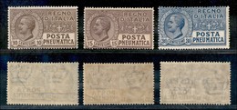 REGNO - REGNO - 1913/1923 - Posta Pneumatica (1/3) - Serie Completa - Gomma Integra (40) - Andere & Zonder Classificatie