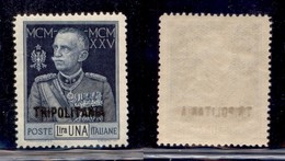 COLONIE - TRIPOLITANIA - 1925 - 1 Lira Giubileo (26) - Gomma Integra (60) - Sonstige & Ohne Zuordnung