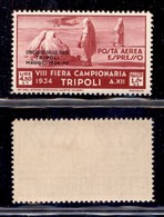 COLONIE - TRIPOLITANIA - 1934 - 4.50 Lire + 1 Lira Espresso Aereo Circuito Delle Oasi (40 Aerea) - Gomma Originale (50) - Other & Unclassified