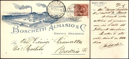 CARTOLINE - TESTATINA - Fabbrica Saponi Boschetti Almasio E C. Novate Milanese - Viaggiata FP - Andere & Zonder Classificatie