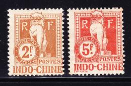 * INDOCHINE - TIMBRES TAXE - * - N°16/17 - TB - Other & Unclassified