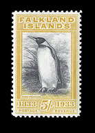 * FALKLAND - * - N°68 - TB - Falkland Islands