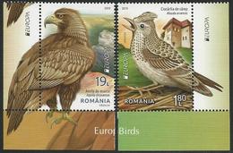 RUMANIA /ROMANIA /RUMÄNIEN -EUROPA 2019 -NATIONAL BIRDS.-"AVES -BIRDS -VÖGEL -OISEAUX"- SERIE 2 V- Viñeta EUROPA - 2019