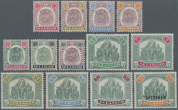 Malaiische Staaten - Selangor: 1895, SELANGOR Set Of 12 Values Up To $10 Green And Purple, Plus $25 - Selangor