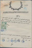 Saudi-Arabien: 1909, "HICAZ DEMIRYOLU IDARESI MALIYE NEZARETI" (Hejaz Railway Administration Tax Off - Saoedi-Arabië