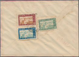 Vietnam-Nord (1945-1975): 1957. Nice Three Color Mixed Franking On A Decorated Envelope With Michel - Viêt-Nam