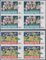 Thematik: Flora, Botanik / Flora, Botany, Bloom: 1999, Bahamas. Complete Set "Endemic Plants" (4 Val - Other & Unclassified