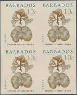 Thematik: Flora, Botanik / Flora, Botany, Bloom: 2008, Barbados. IMPERFORATE Block Of 4 For The 10c - Sonstige & Ohne Zuordnung