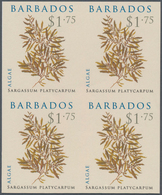 Thematik: Flora, Botanik / Flora, Botany, Bloom: 2008, Barbados. IMPERFORATE Block Of 4 For The $1.7 - Otros & Sin Clasificación