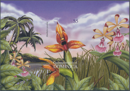 Thematik: Flora-Orchideen / Flora-orchids: 2004, Dominica. IMPERFORATE Souvenir Sheet For The "Orchi - Orchideeën