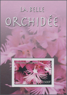 Thematik: Flora-Orchideen / Flora-orchids: 2006, Togo. IMPERFORATE Souvenir Sheet For The Issue "Orc - Orchidee