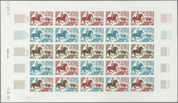 Thematik: Sport-Pferdesport / Sport Equestrian Sports: 1970, Afars And Issas. Lot Of 3 Different Col - Hippisme