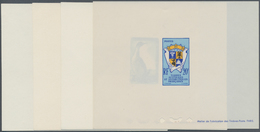 Thematik: Tiere, Fauna / Animals, Fauna: 1959/1963, TAAF, Definitives "Animals In Antarctica/Coat Of - Andere & Zonder Classificatie