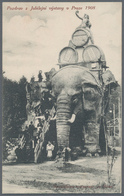 Thematik: Tiere-Elefanten / Animals Elephants: 1908, Austria/CSR. Austrian Private Entire Postal Car - Elefantes