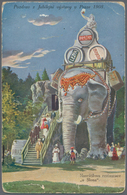 Thematik: Tiere-Elefanten / Animals Elephants: 1908, Austria/CSR. Austrian Private Entire Postal Car - Eléphants