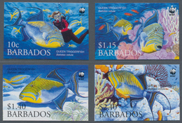 Thematik: Tiere-Fische / Animals-fishes: 2006, Barbados. Complete Set FISH (4 Values) In IMPERFORATE - Vissen