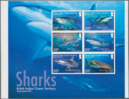 Thematik: Tiere-Fische / Animals-fishes: 2016, BRITISH INDIAN OCEAN TERRITORY: Sharks Complete Set O - Poissons