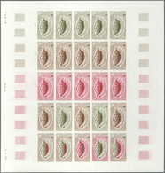 Thematik: Tiere-Meerestiere-Muscheln / Animals-sea Animals-shells: 1970, New Caledonia. Complete Set - Schelpen