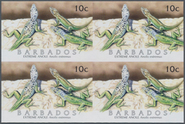 Thematik: Tiere-Reptilien / Animals-reptiles: 2005, Barbados. IMPERFORATE Block Of 4 For The 10c Val - Otros & Sin Clasificación