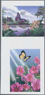 Thematik: Tiere-Schmetterlinge / Animals-butterflies: 2003, MALDIVES: Beak Butterfly (Libythea Geoff - Farfalle