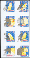 Thematik: Tiere-Vögel / Animals-birds: 1972, Adjman - Manama, 1 Item; Collective Single Die Proof Fo - Altri & Non Classificati