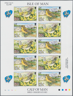 Thematik: Tiere-Vögel / Animals-birds: 1994, Isle Of Man. Complete IMPERFORATE Miniature Sheet Conta - Autres & Non Classés