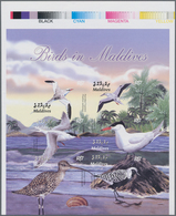 Thematik: Tiere-Vögel / Animals-birds: 2003, MALDIVES: Native Birds Part Set Of Six In Perforate And - Andere & Zonder Classificatie