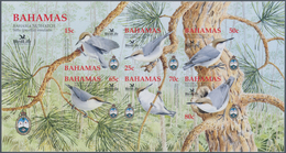 Thematik: Tiere-Vögel / Animals-birds: 2006, Bahamas. IMPERFORATE Souvenir Sheet For The Issue "Natu - Other & Unclassified