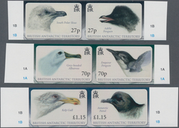 Thematik: Tiere-Vögel / Animals-birds: 2010, BRITISH ANTARCTIC TERRITORY: Antarctic Birds (South Pol - Autres & Non Classés