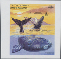 Thematik: Tiere-Meeressäuger (u.a. Wale) / Animals-aquatic Mammals: 2002, TRISTAN DA CUNHA: Whales A - Autres & Non Classés