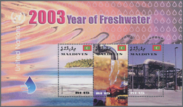 Thematik: Wasser / Water: 2003, MALDIVES: International Year Of Freshwater Complete Set Of Three In - Zonder Classificatie