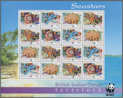 Thematik: WWF: 2001, BRITISH INDIAN OCEAN TERRITORY: WWF Seastars (Cushion Star, Azure Sea Star, Cro - Autres & Non Classés