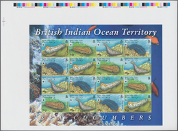 Thematik: WWF: 2008, BRITISH INDIAN OCEAN TERRITORY: WWF Sea Cucumbers In A Complete IMPERFORATE She - Other & Unclassified