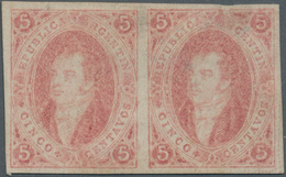 Argentinien: 1867 'Rivadavias' 5c. Light Rose, No Watermark, 6th Printing, IMPERFORATED HORIZONTAL P - Autres & Non Classés