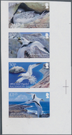 Ascension: 2009, White-tailed Tropicbird, IMPERFORATE Proof Se-tenant Strip Of Four, Mint Never Hing - Ascension (Ile De L')