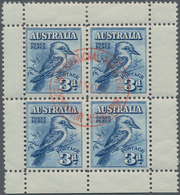 Australien: 1928, Kookaburra Miniature Sheet From Lower Margin Fine Used With Red Exhibition Postmar - Autres & Non Classés